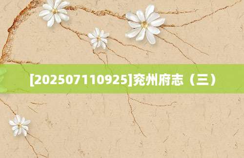 [202507110925]兖州府志（三）