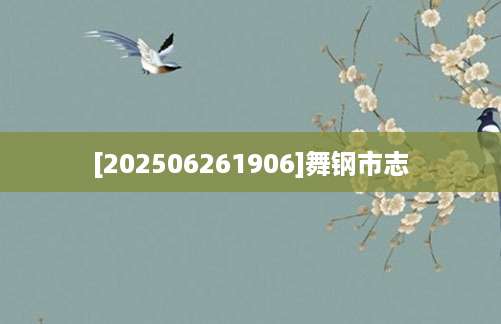 [202506261906]舞钢市志