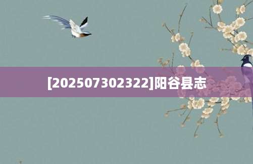 [202507302322]阳谷县志