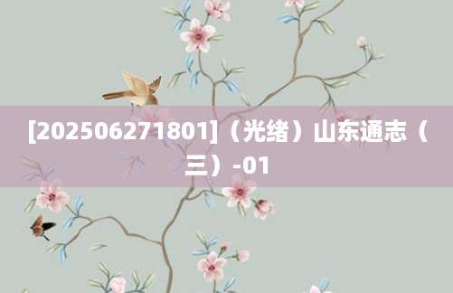 [202506271801]（光绪）山东通志（三）-01