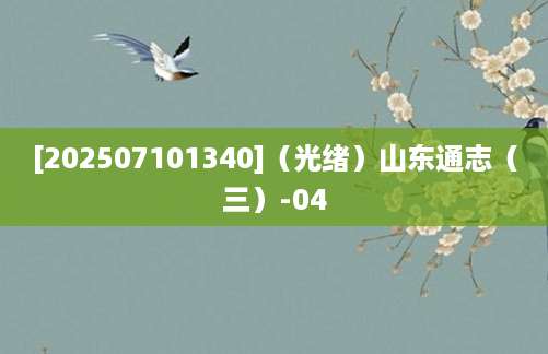 [202507101340]（光绪）山东通志（三）-04