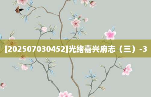 [202507030452]光绪嘉兴府志（三）-3