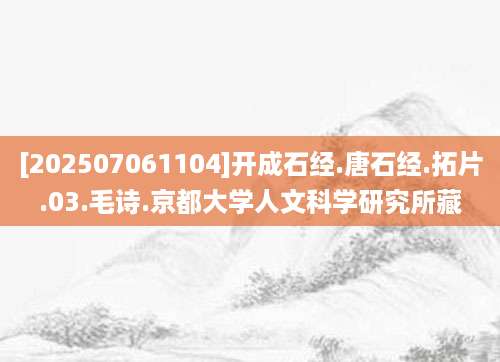 [202507061104]开成石经.唐石经.拓片.03.毛诗.京都大学人文科学研究所藏