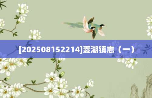 [202508152214]菱湖镇志（一）