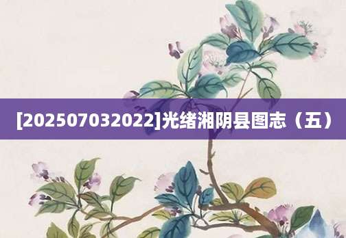 [202507032022]光绪湘阴县图志（五）