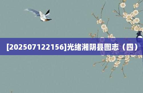 [202507122156]光绪湘阴县图志（四）