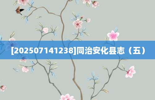 [202507141238]同治安化县志（五）