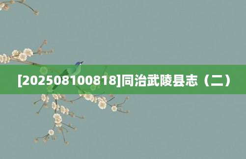 [202508100818]同治武陵县志（二）