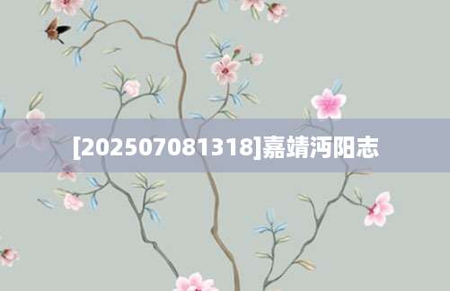 [202507081318]嘉靖沔阳志