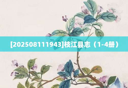 [202508111943]枝江县志（1-4册）