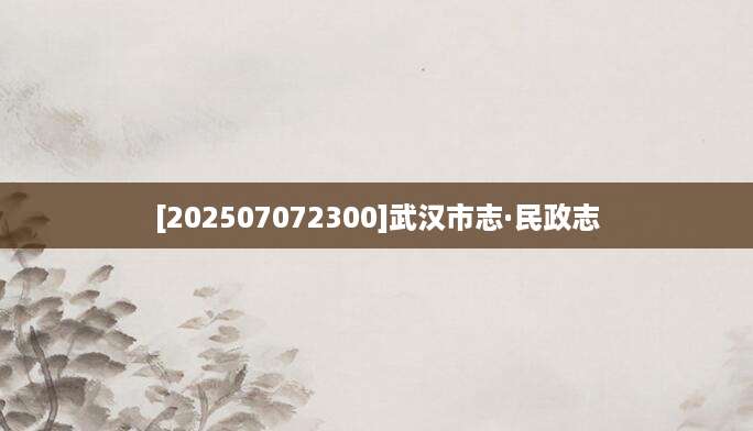 [202507072300]武汉市志·民政志
