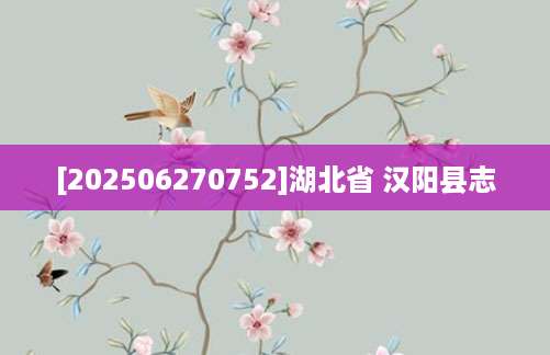 [202506270752]湖北省 汉阳县志