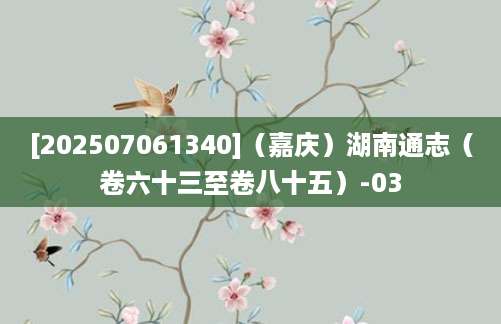 [202507061340]（嘉庆）湖南通志（卷六十三至卷八十五）-03