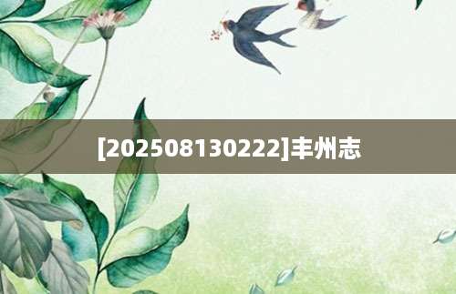 [202508130222]丰州志