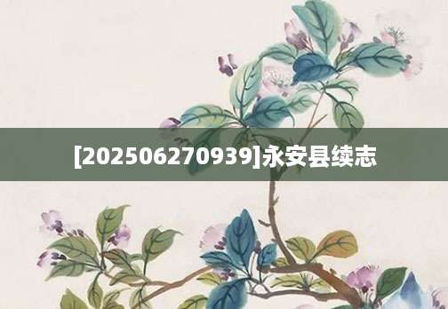 [202506270939]永安县续志