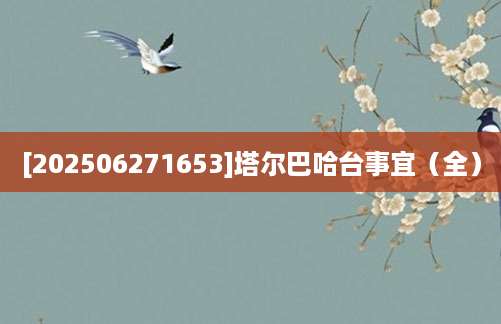 [202506271653]塔尔巴哈台事宜（全）