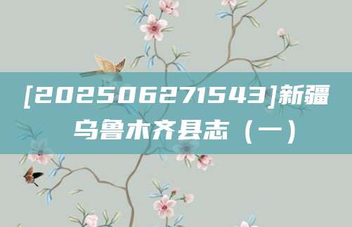 [202506271543]新疆 乌鲁木齐县志（一）