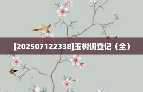 [202507122338]玉树调查记（全）