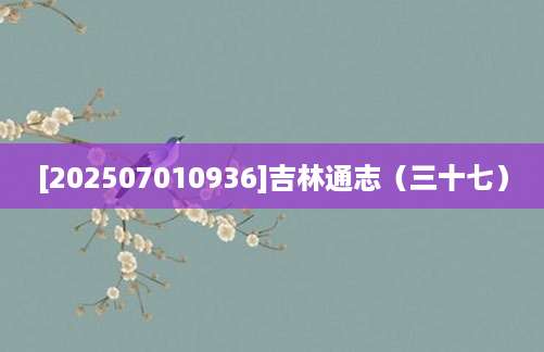 [202507010936]吉林通志（三十七）