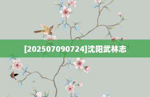 [202507090724]沈阳武林志