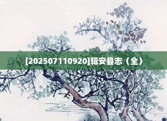 [202507110920]辑安县志（全）