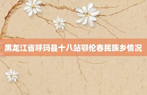 [202508081904]黑龙江省呼玛县十八站鄂伦春民族乡情况