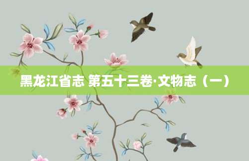 黑龙江省志 第五十三卷·文物志（一）