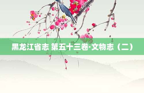 [202507300726]黑龙江省志 第五十三卷·文物志（二）