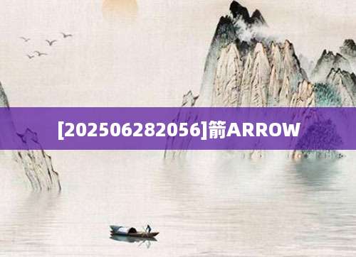 [202506282056]箭ARROW