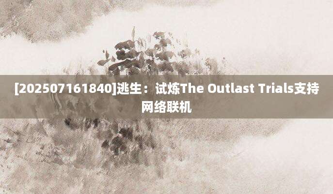 [202507161840]逃生：试炼The Outlast Trials支持网络联机
