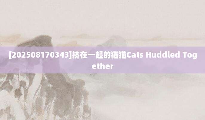 [202508170343]挤在一起的猫猫Cats Huddled Together