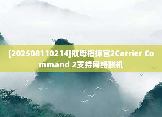 [202508110214]航母指挥官2Carrier Command 2支持网络联机