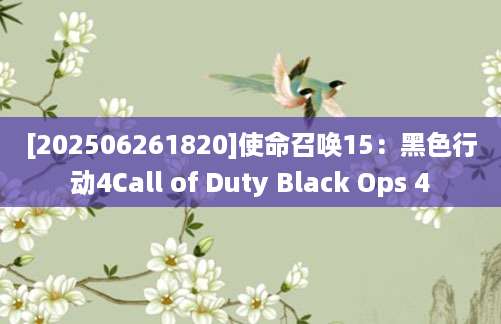 [202506261820]使命召唤15：黑色行动4Call of Duty Black Ops 4