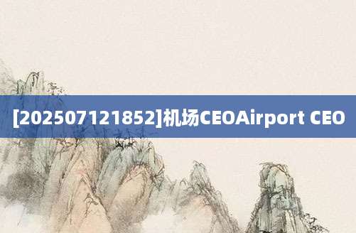 [202507121852]机场CEOAirport CEO