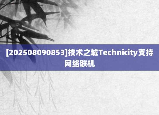 [202508090853]技术之城Technicity支持网络联机
