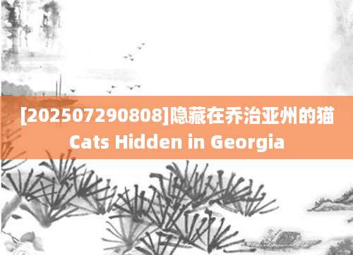[202507290808]隐藏在乔治亚州的猫Cats Hidden in Georgia