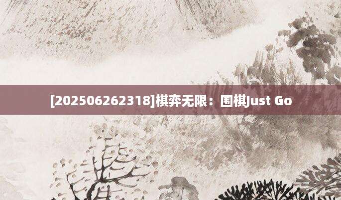 [202506262318]棋弈无限：围棋Just Go