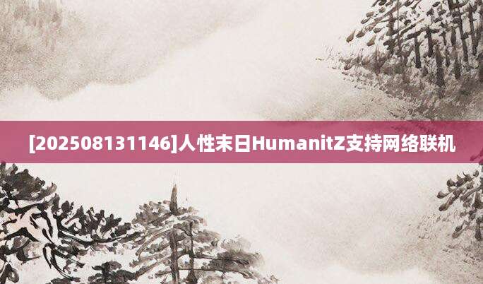 [202508131146]人性末日HumanitZ支持网络联机