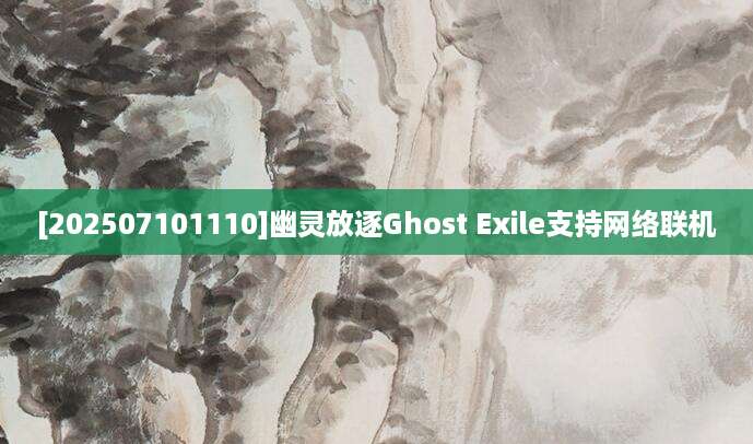 [202507101110]幽灵放逐Ghost Exile支持网络联机