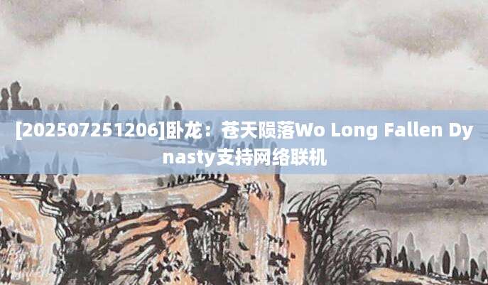 [202507251206]卧龙：苍天陨落Wo Long Fallen Dynasty支持网络联机