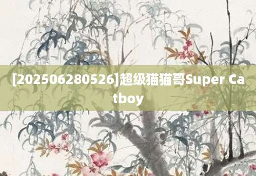 [202506280526]超级猫猫哥Super Catboy