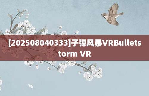 [202508040333]子弹风暴VRBulletstorm VR