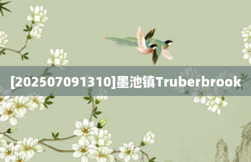 [202507091310]墨池镇Truberbrook