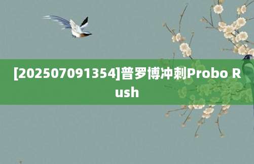 [202507091354]普罗博冲刺Probo Rush