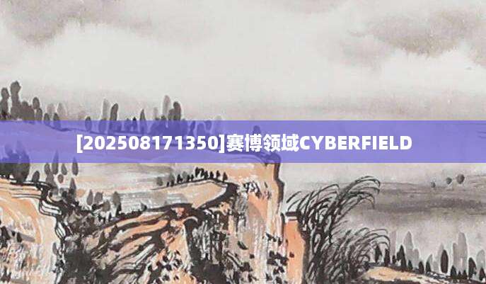 [202508171350]赛博领域CYBERFIELD