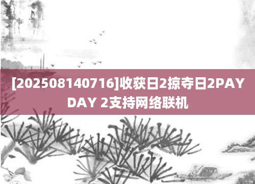 [202508140716]收获日2掠夺日2PAYDAY 2支持网络联机