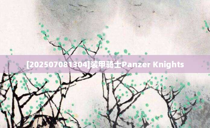 [202507081304]装甲骑士Panzer Knights