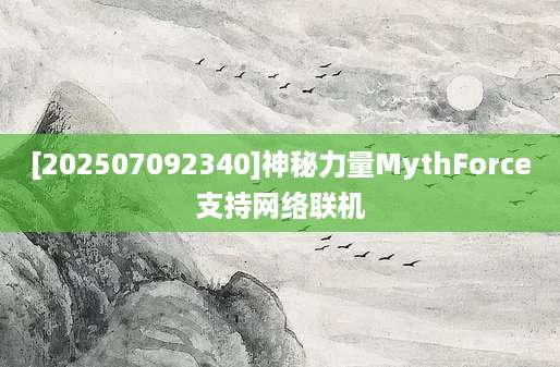 [202507092340]神秘力量MythForce支持网络联机