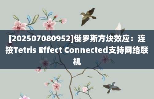 [202507080952]俄罗斯方块效应：连接Tetris Effect Connected支持网络联机