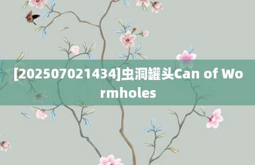 [202507021434]虫洞罐头Can of Wormholes